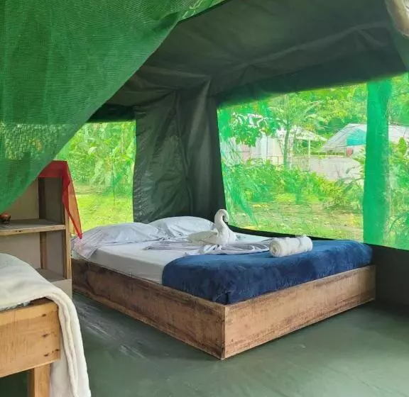 Majatalo Life For Life Hostel Drake Bay Home Of Sea Turtle Marine Conservation Project Osa Peninsula Near San