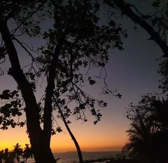 Majatalo Life For Life Hostel Drake Bay Home Of Sea Turtle Marine Conservation Project Osa Peninsula Near San