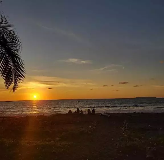 Majatalo Life For Life Hostel Drake Bay Home Of Sea Turtle Marine Conservation Project Osa Peninsula Near San