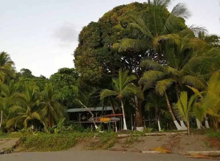 Majatalo Life For Life Hostel Drake Bay Home Of Sea Turtle Marine Conservation Project Osa Peninsula Near San