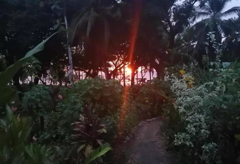 Majatalo Life For Life Hostel Drake Bay Home Of Sea Turtle Marine Conservation Project Osa Peninsula Near San