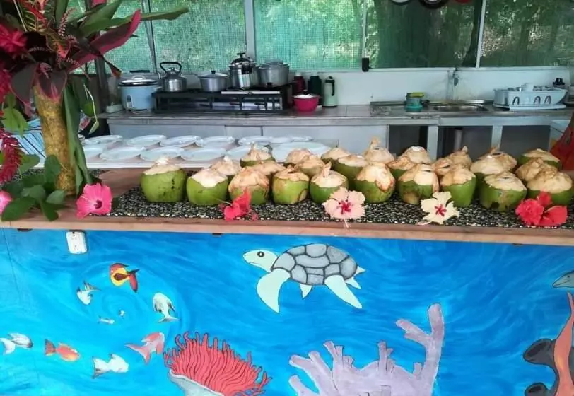 Majatalo Life For Life Hostel Drake Bay Home Of Sea Turtle Marine Conservation Project Osa Peninsula Near San