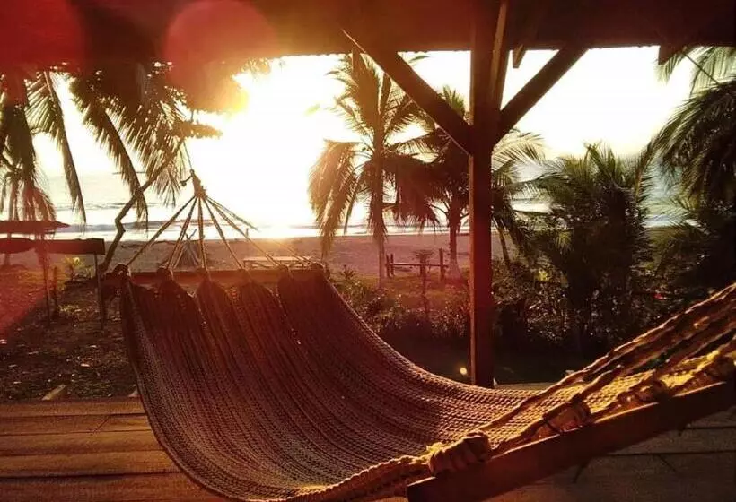 Majatalo Life For Life Hostel Drake Bay Home Of Sea Turtle Marine Conservation Project Osa Peninsula Near San