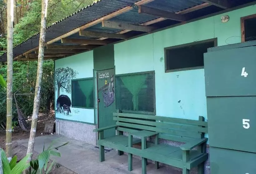 Majatalo Life For Life Hostel Drake Bay Home Of Sea Turtle Marine Conservation Project Osa Peninsula Near San