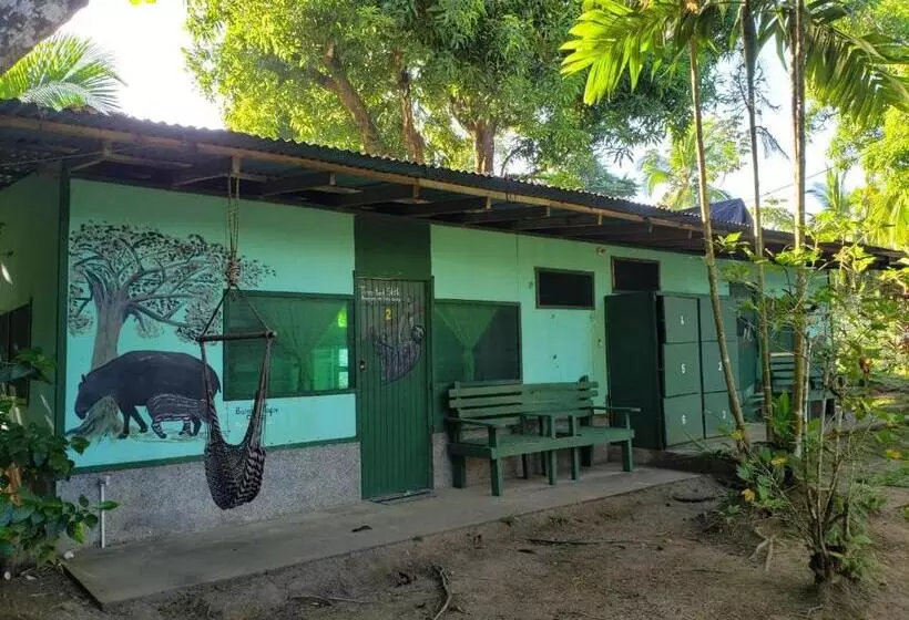 Majatalo Life For Life Hostel Drake Bay Home Of Sea Turtle Marine Conservation Project Osa Peninsula Near San