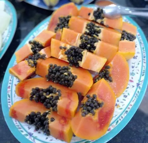 Majatalo Pousada Videiras Santa Rita De Cássia