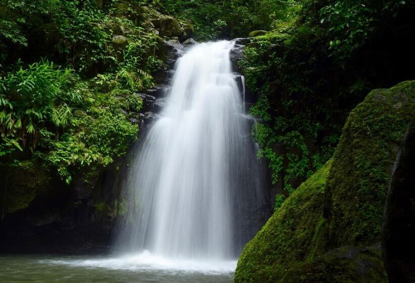 فندق Centro Ecoturístico Las Margaritas