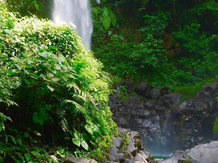 فندق Centro Ecoturístico Las Margaritas