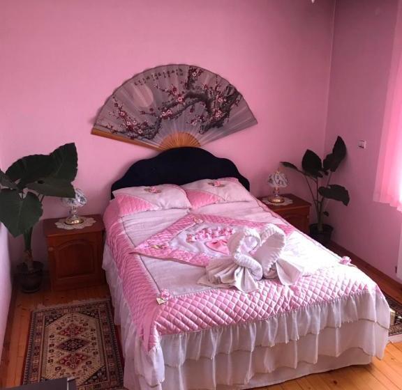 Pensione Guest House Detelina