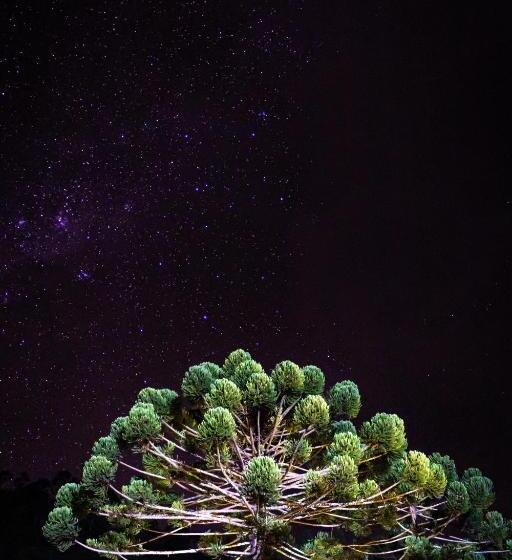 酒店 Fazenda Boa Esperança