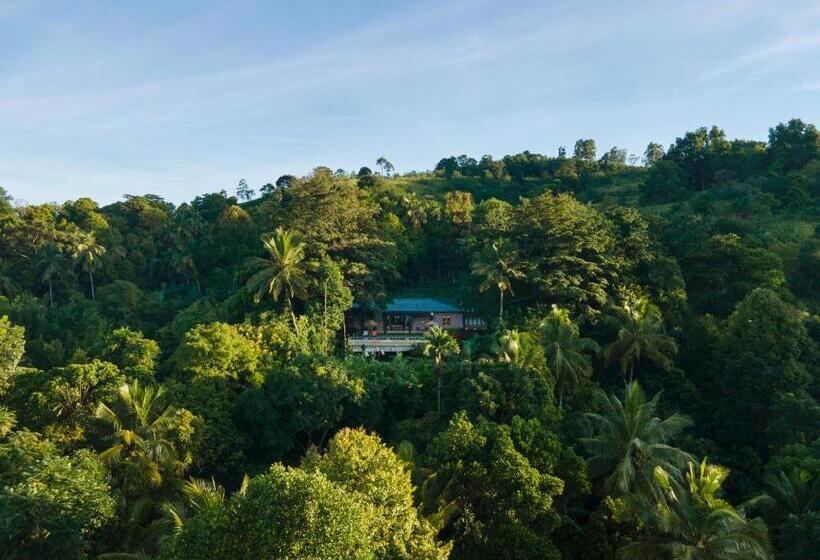 Отель Mount Havana