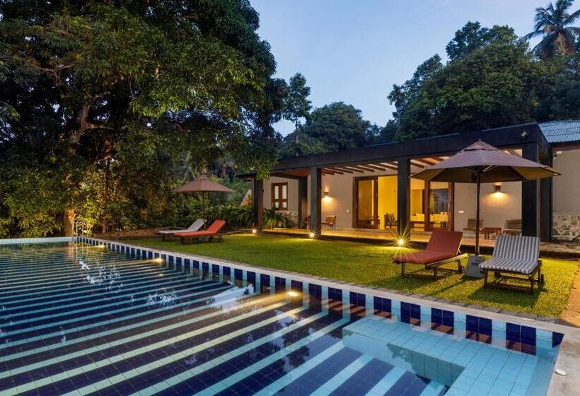 Отель Mount Havana