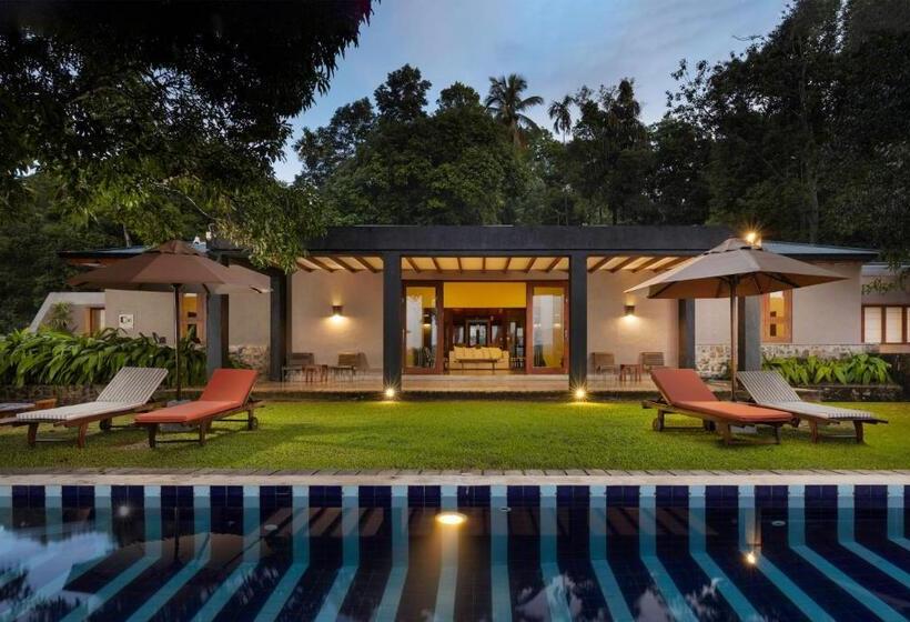 Отель Mount Havana