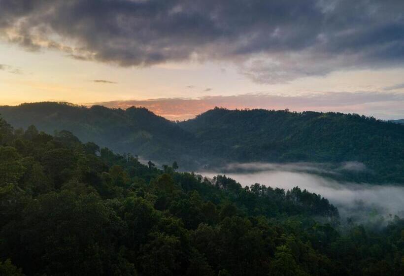 Отель Mount Havana