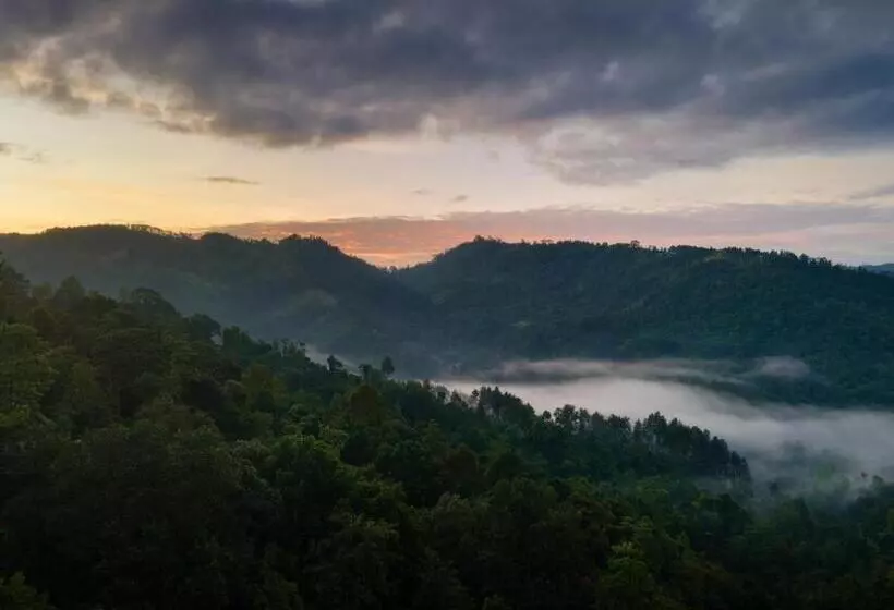 Hotelli Mount Havana