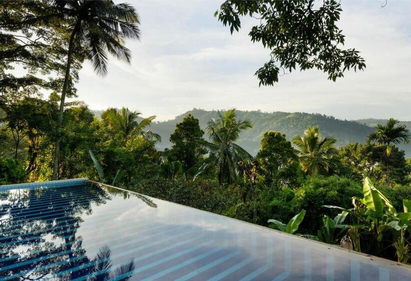 Отель Mount Havana