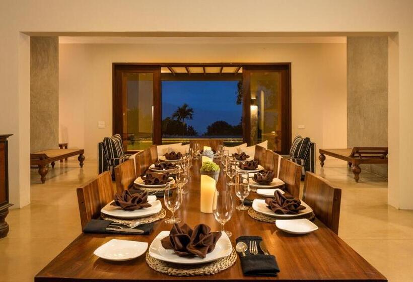 Отель Mount Havana