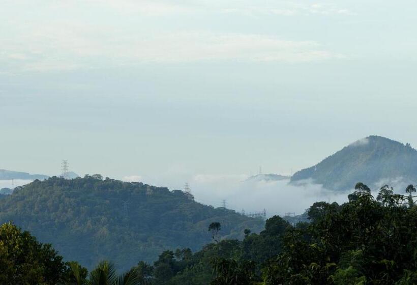 Отель Mount Havana