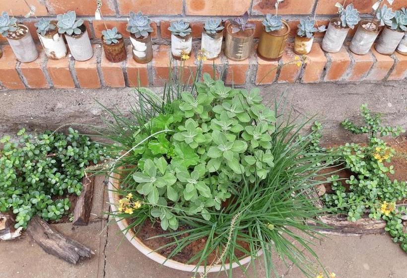 Пансион Karoo Inn