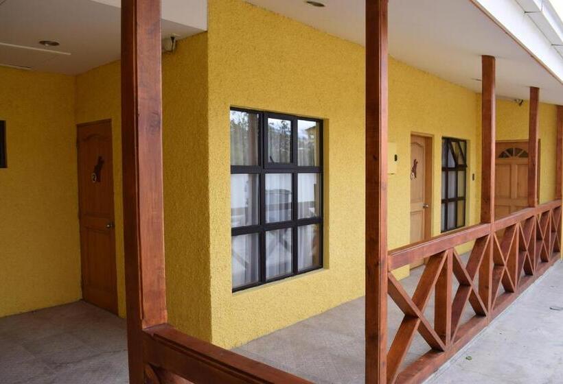 فندق صغير Hostal Loreto Belen