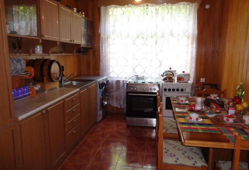 پانسیون Guest House Levan Ii Dadiani