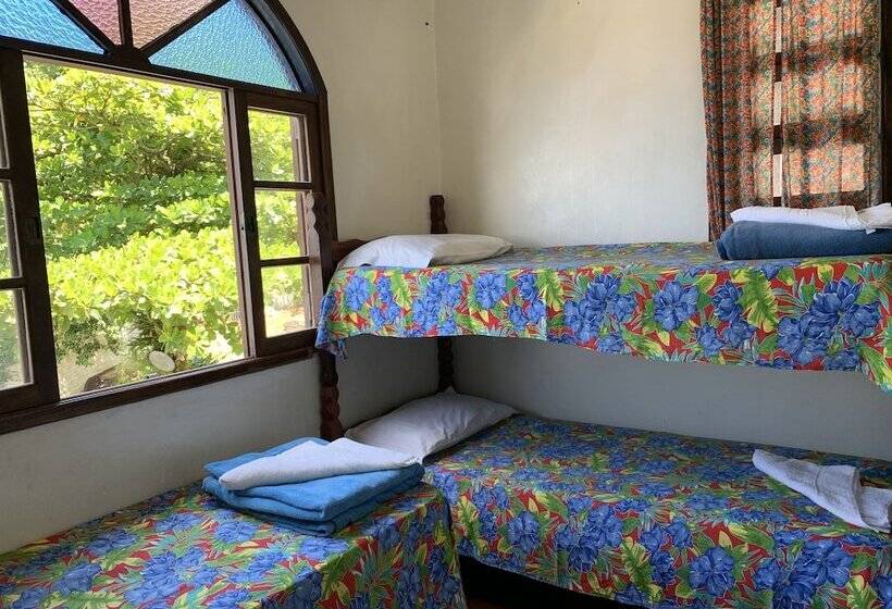 פנסיון Pousada Edelweiss