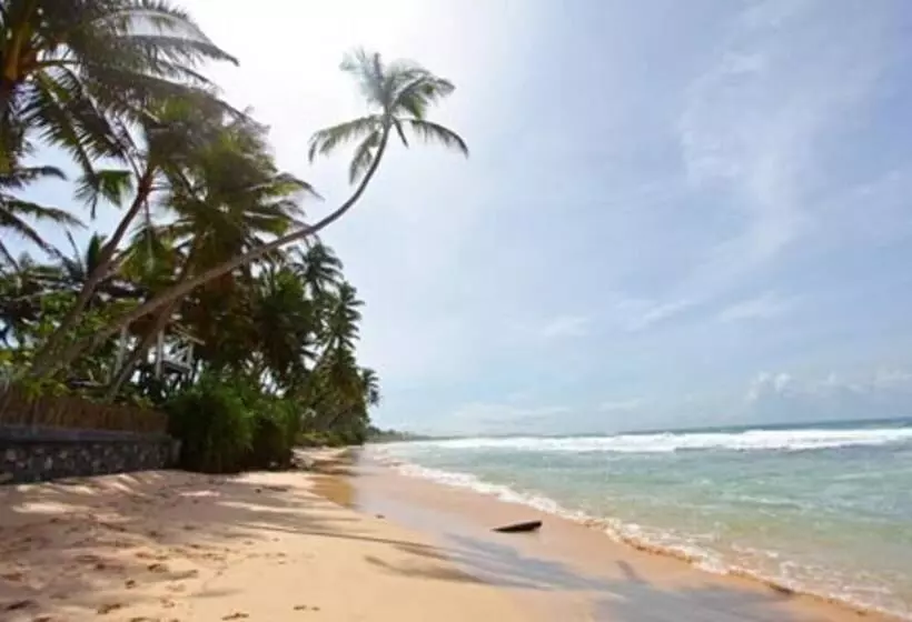 ペンション Thambara Villa Unawatuna