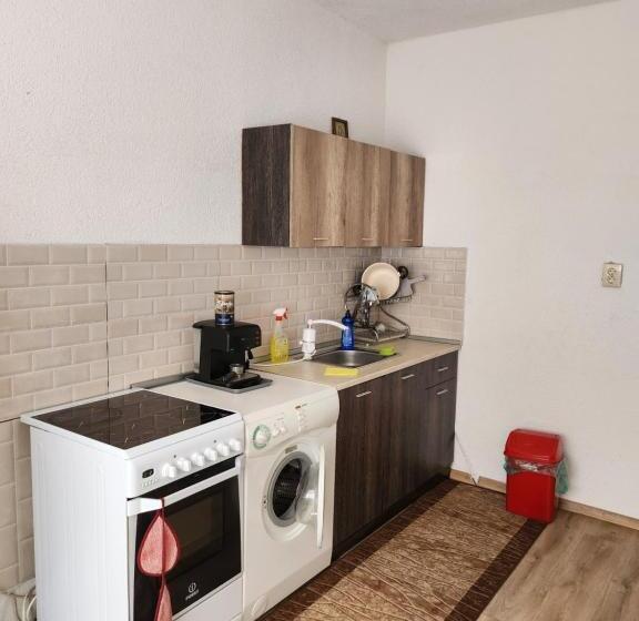 Pensione Apartment Lachevi