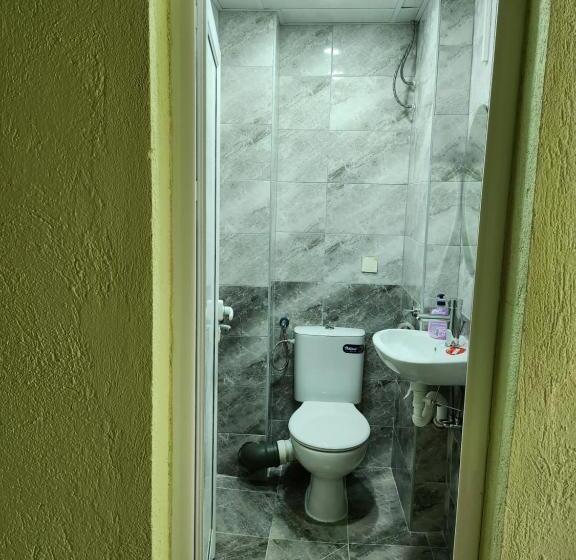 Pensione Apartment Lachevi