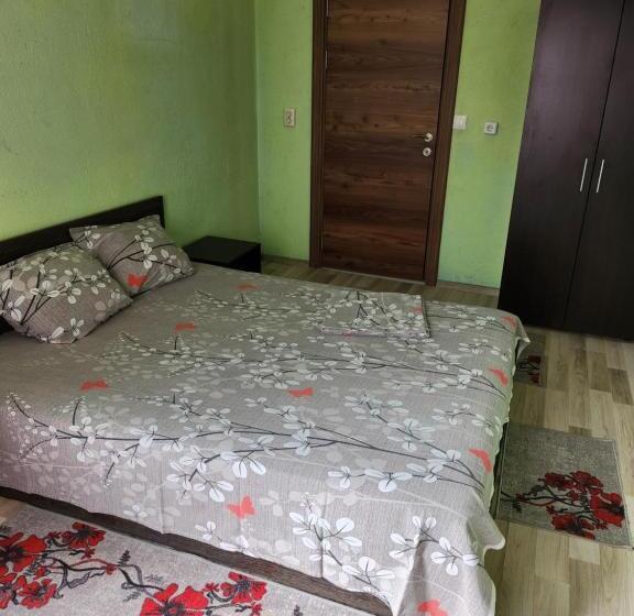 Pensione Apartment Lachevi