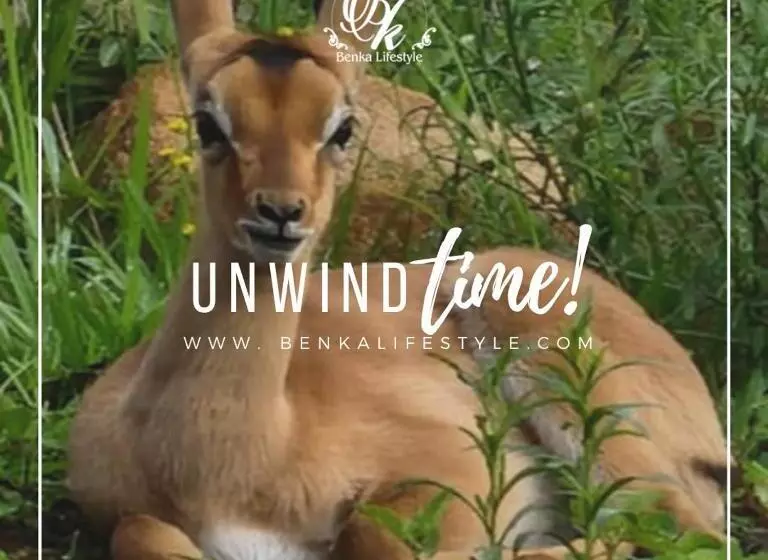 پانسیون Benka Lifestyle Country Cottages