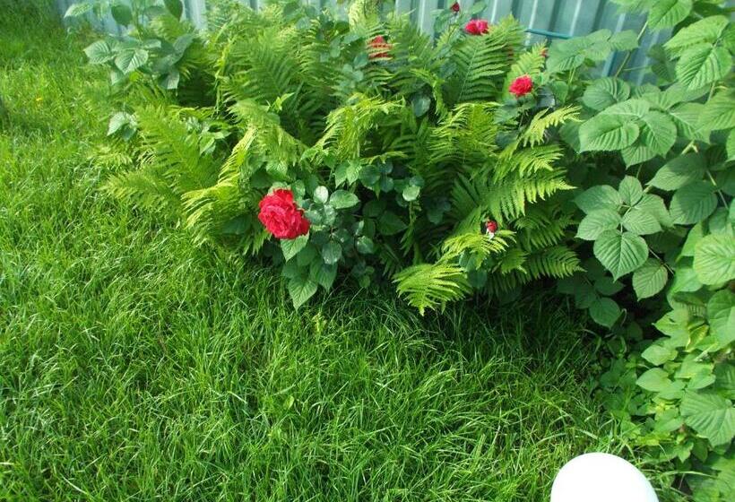 پانسیون Casa Aurora