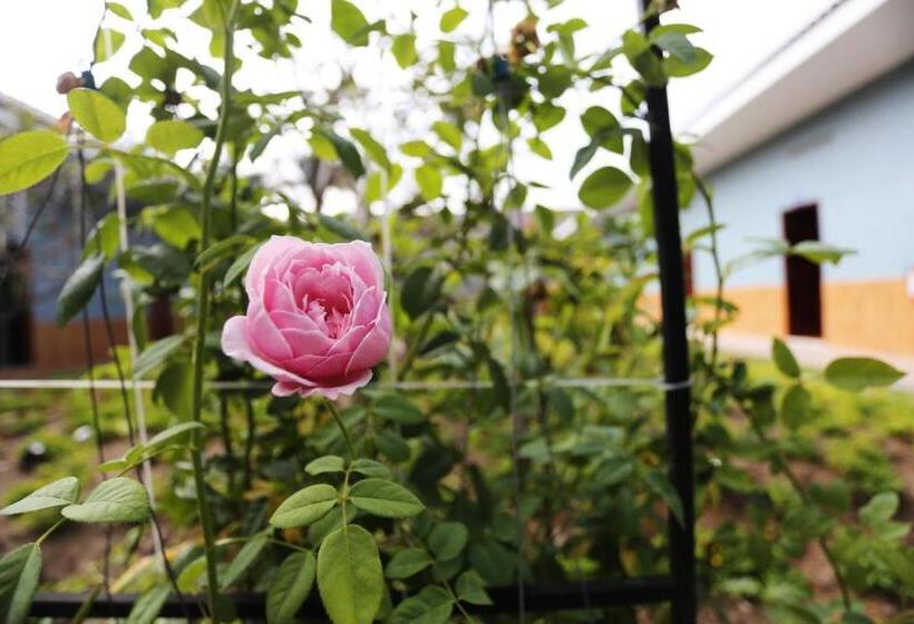 پانسیون Thanh Thuy