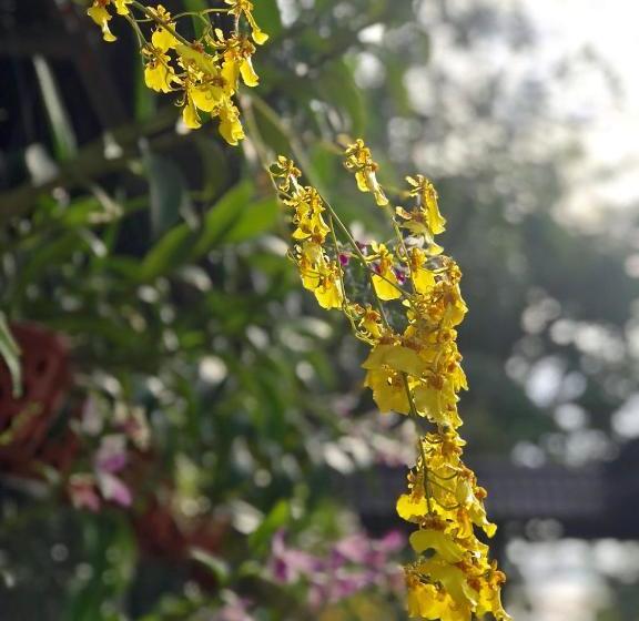 پانسیون Thanh Thuy