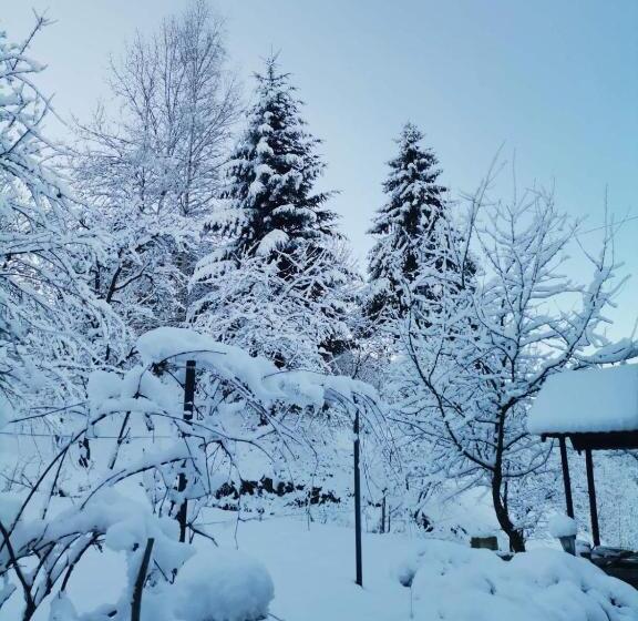 פנסיון Goryanka