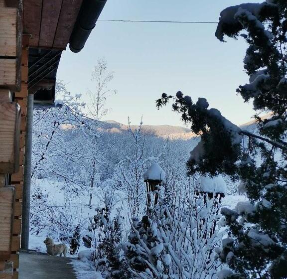 פנסיון Goryanka