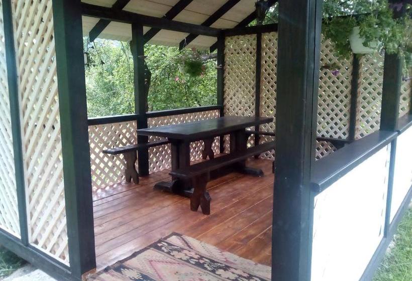 פנסיון Goryanka