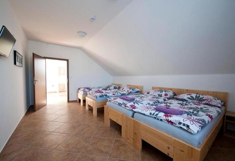 بنسيون Penzion žurek