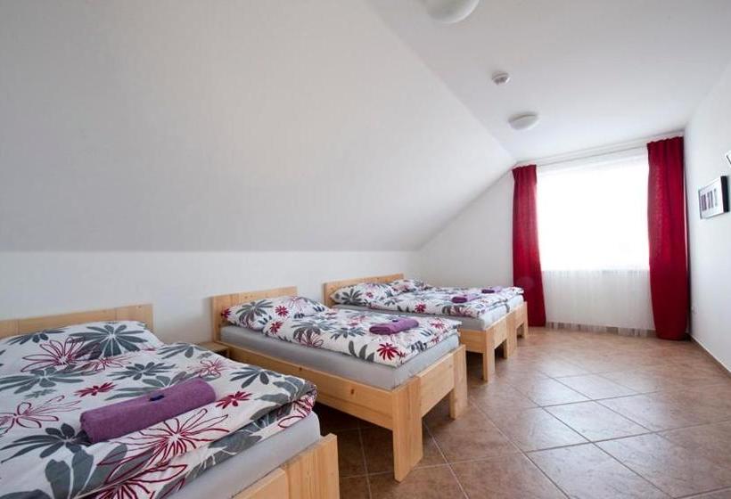 بنسيون Penzion žurek