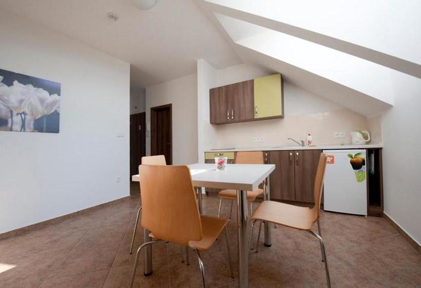 بنسيون Penzion žurek