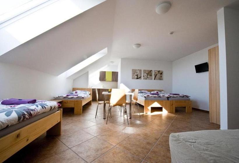 بنسيون Penzion žurek