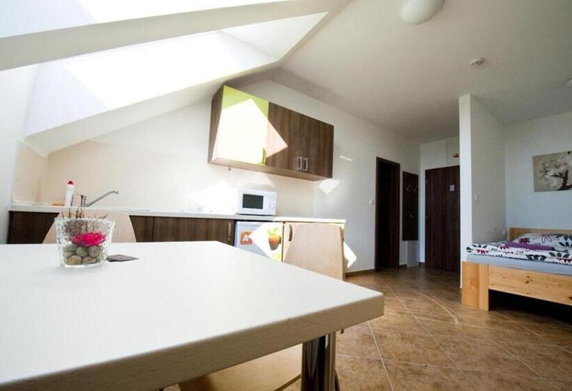 بنسيون Penzion žurek