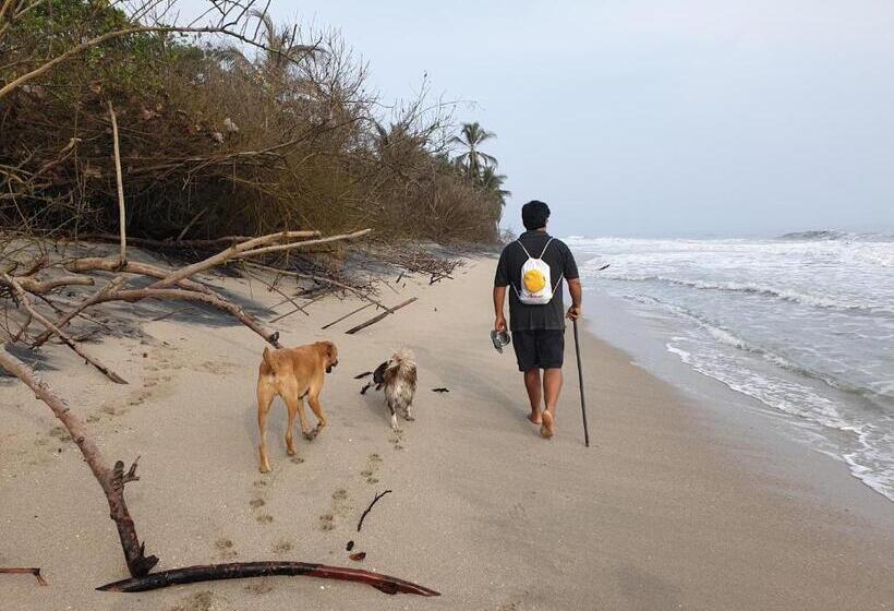 پانسیون Bella Flor Hostel Palomino