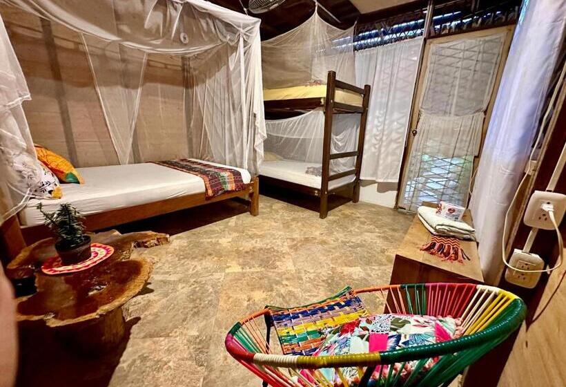 پانسیون Bella Flor Hostel Palomino