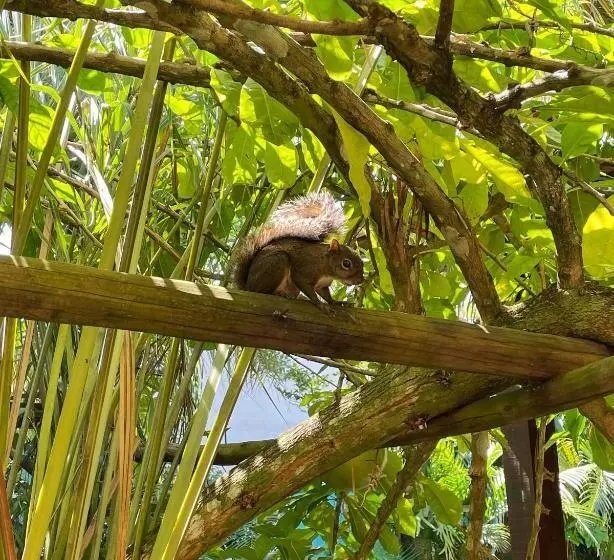 Majatalo Pousada Jambrero