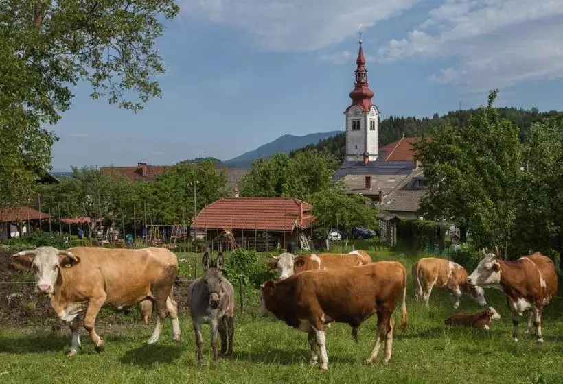هتل Bio Turistična Kmetija Frčej Zupan