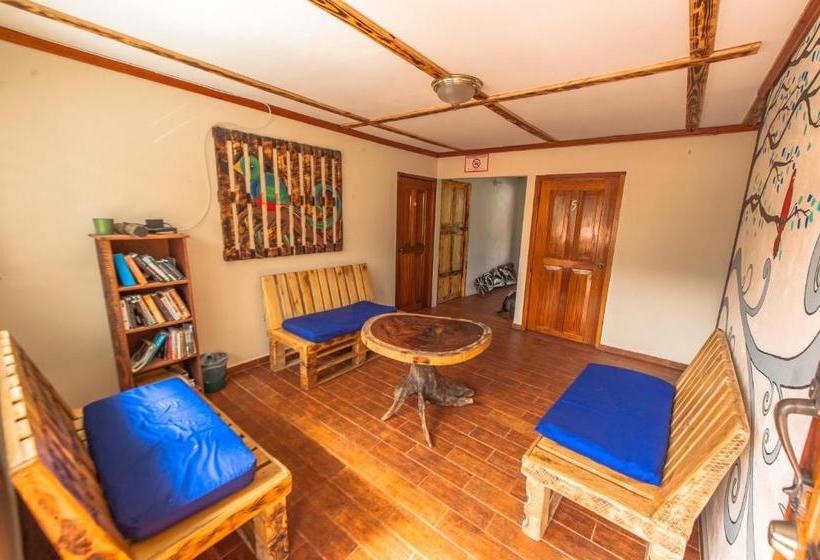 ペンション Arte Hostal