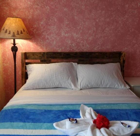 ペンション Arte Hostal