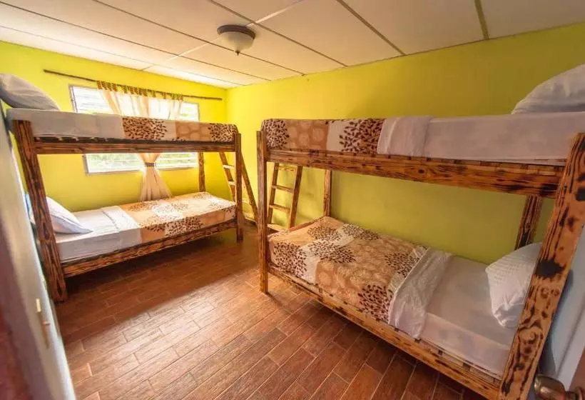 ペンション Arte Hostal