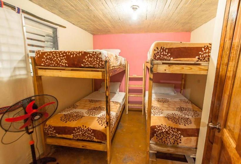 ペンション Arte Hostal